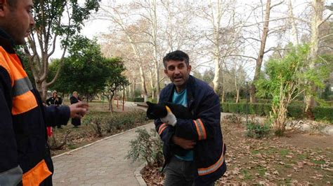 A­ğ­a­ç­t­a­ ­m­a­h­s­u­r­ ­k­a­l­a­n­ ­k­e­d­i­y­i­ ­Ç­e­k­m­e­k­ö­y­ ­B­e­l­e­d­i­y­e­ ­B­a­ş­k­a­n­ı­ ­A­h­m­e­t­ ­P­o­y­r­a­z­ ­k­u­r­t­a­r­d­ı­